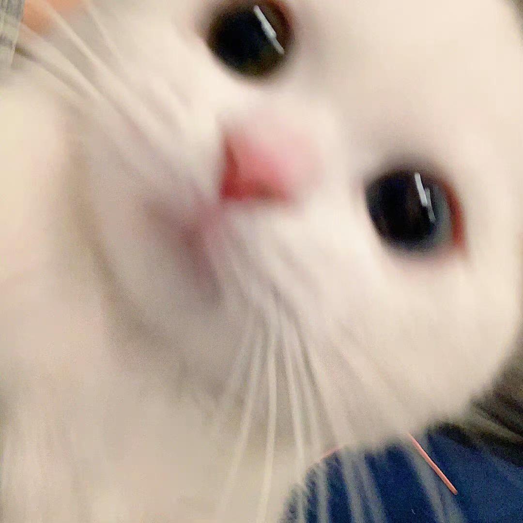 怎怎怎么啦