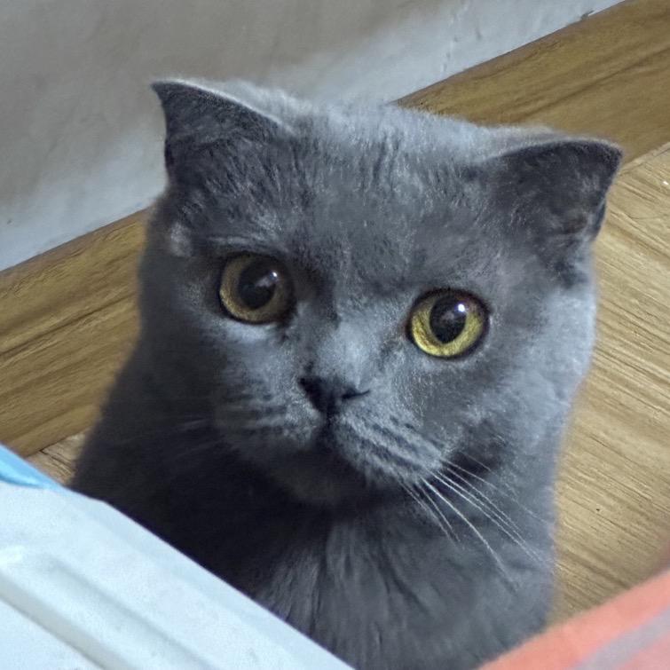 若你眉眼停留半分怎会不见我温柔如初