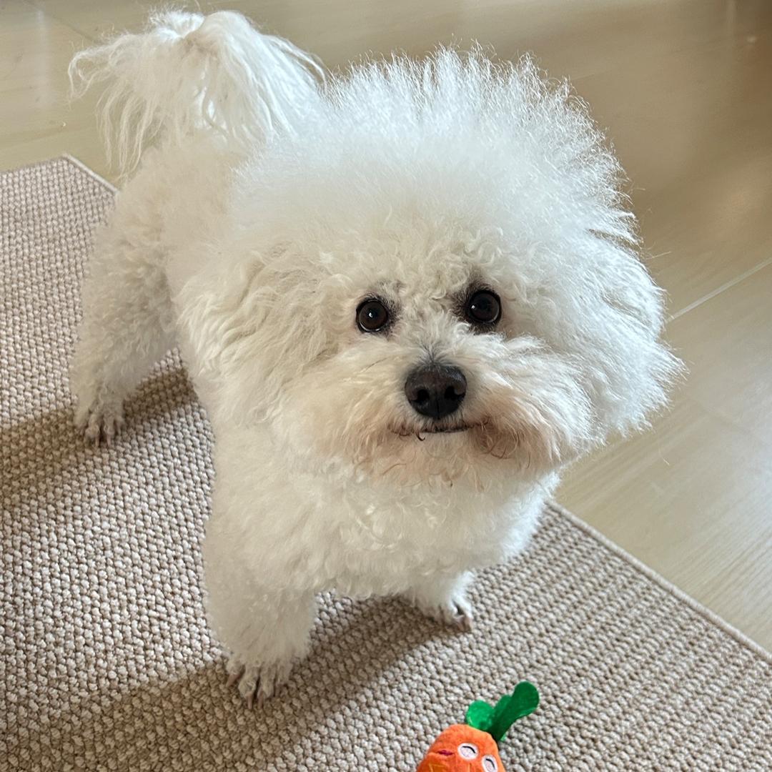 潦草胖胖子🐶
