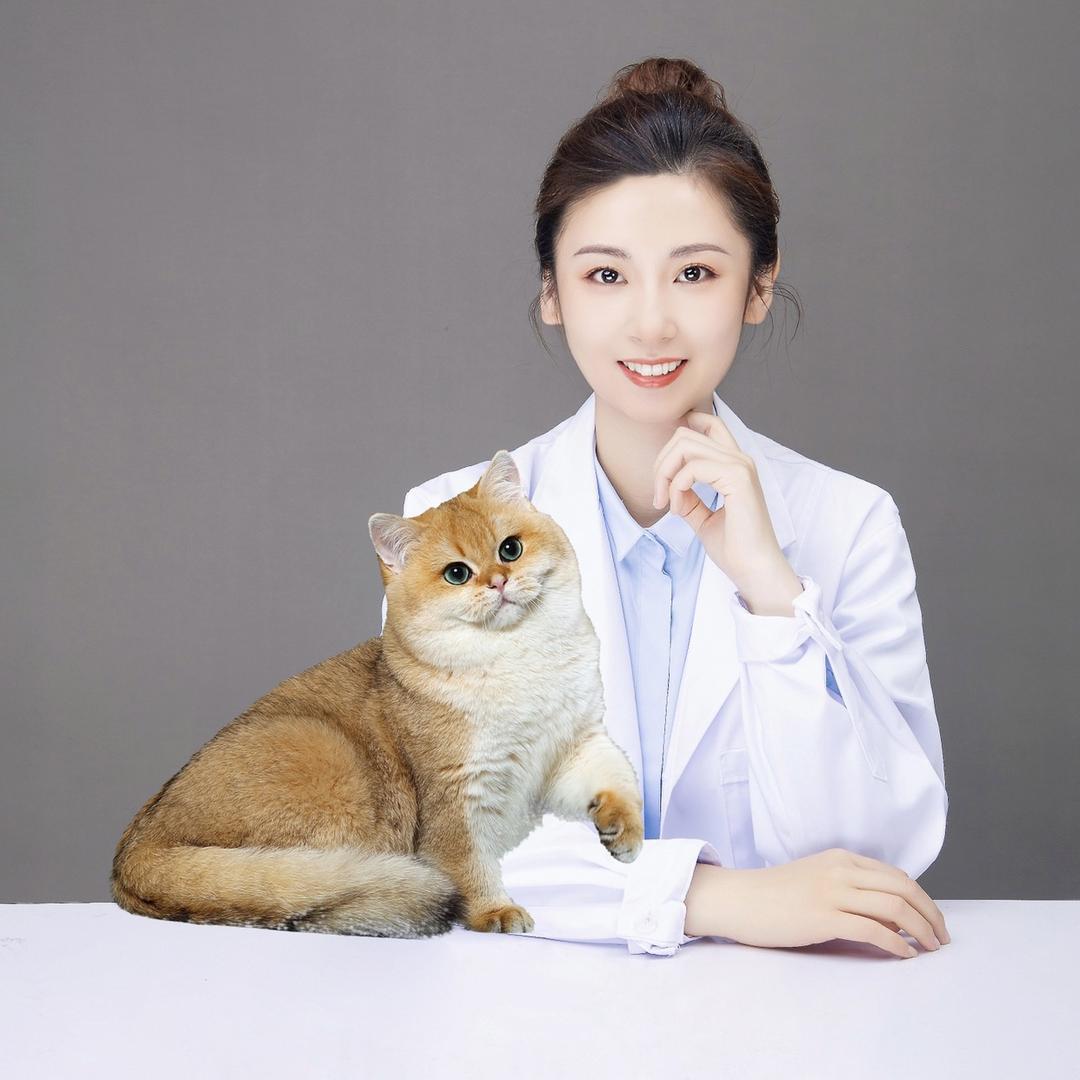 高翠兰的喵（饲养问题，私信我）