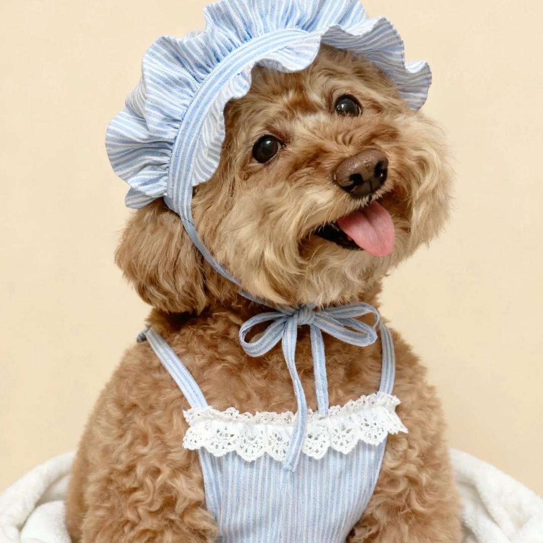 米修是泰迪（成长版）