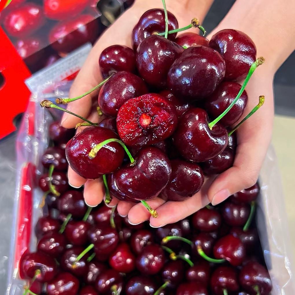 车厘子🍒🍒🍒