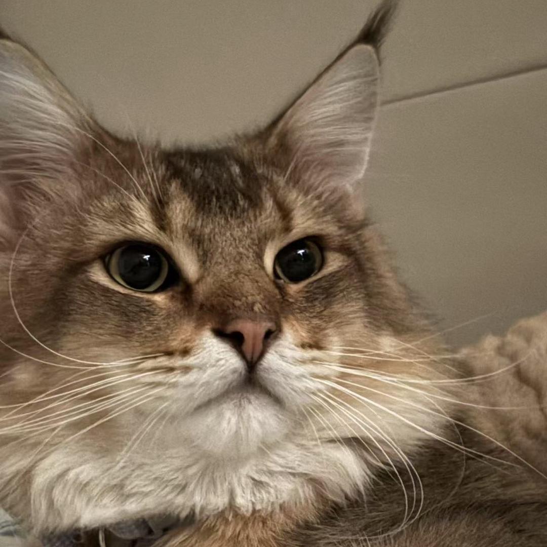 •ㅤ឴  ㅤ឴  ㅤ