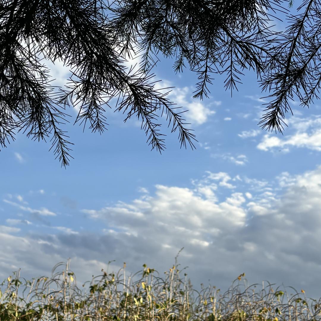 西安艺空间建筑装饰有限公司