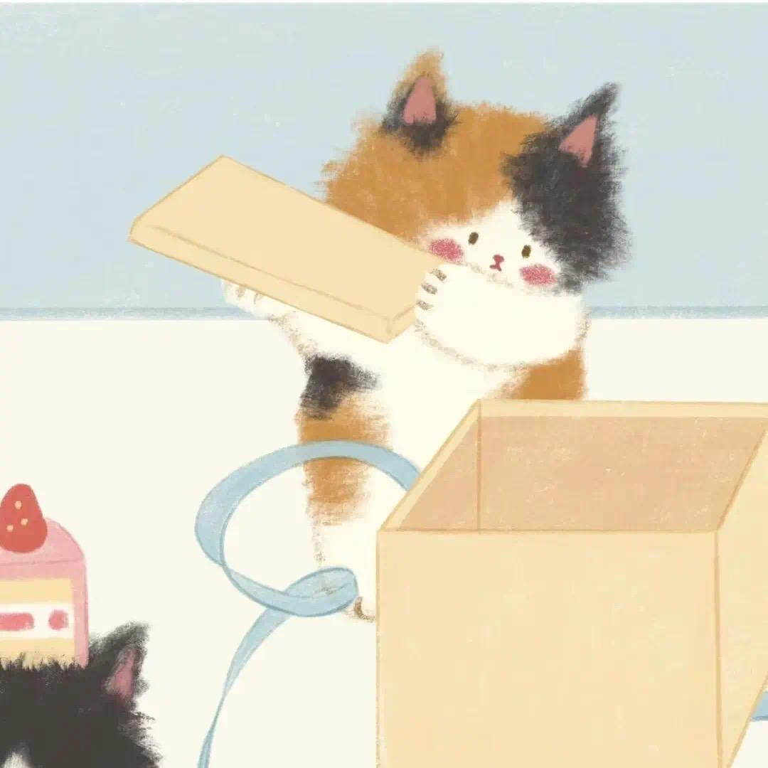 打呼噜的猫 🐈