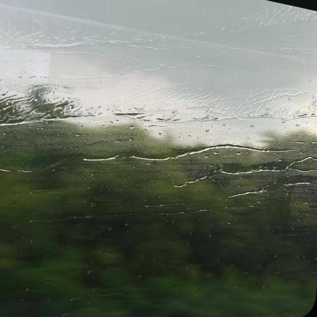 小饭（效果图表现）