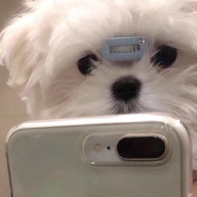 玛玛哈哈