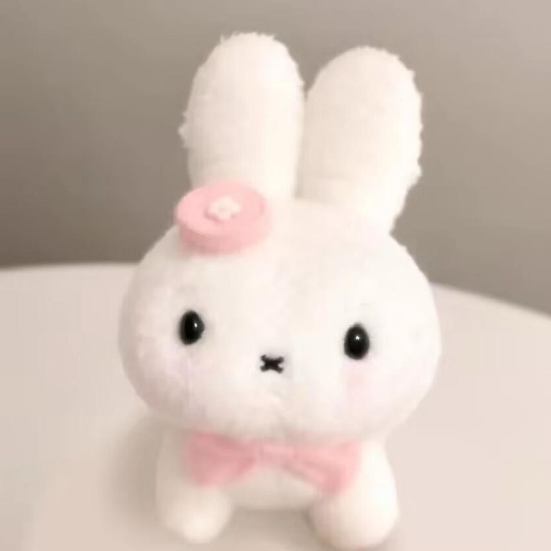 🐰