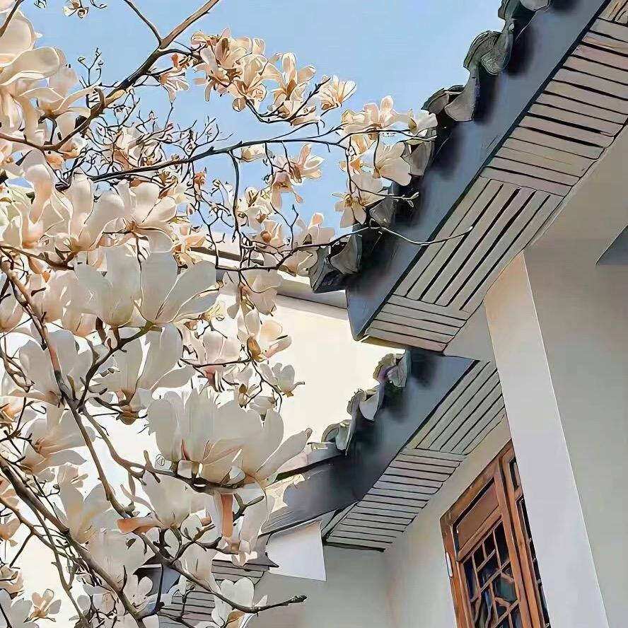 韬光养晦🇨🇳