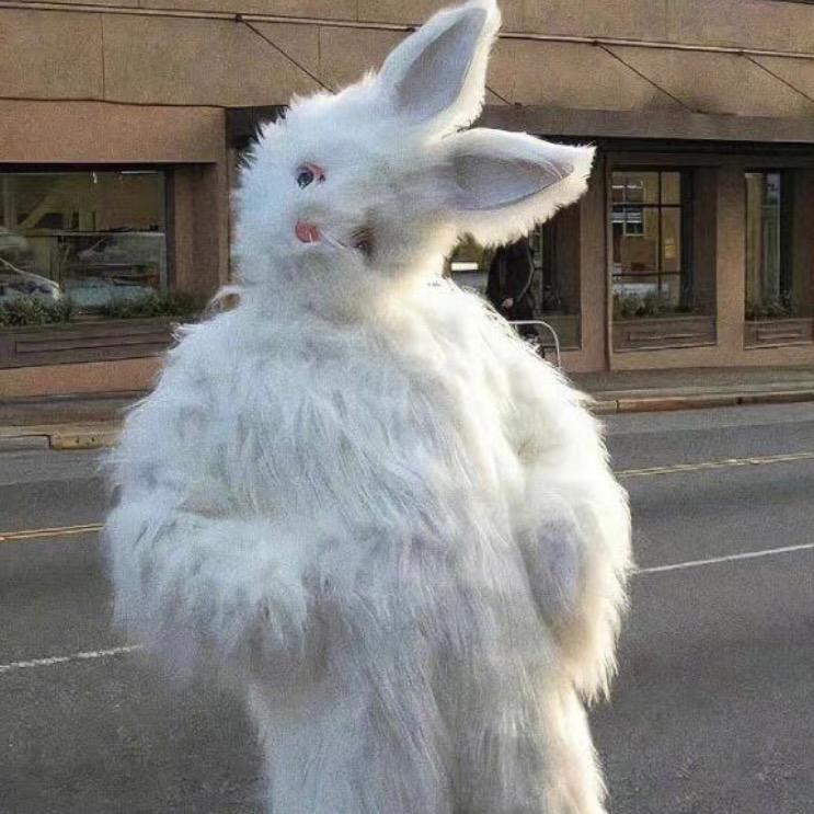 今天Rachel不在家🍓