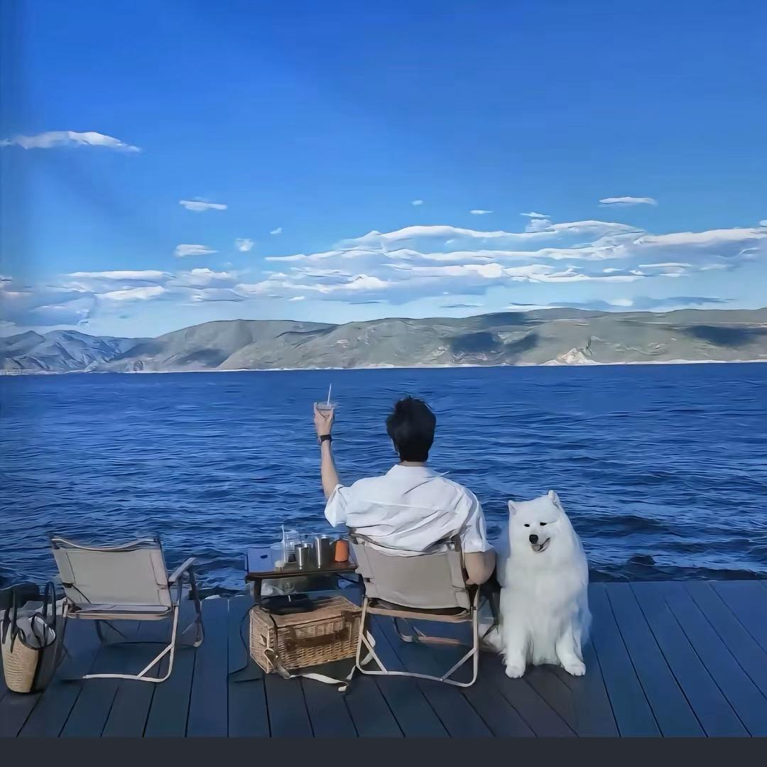 宝哥💞