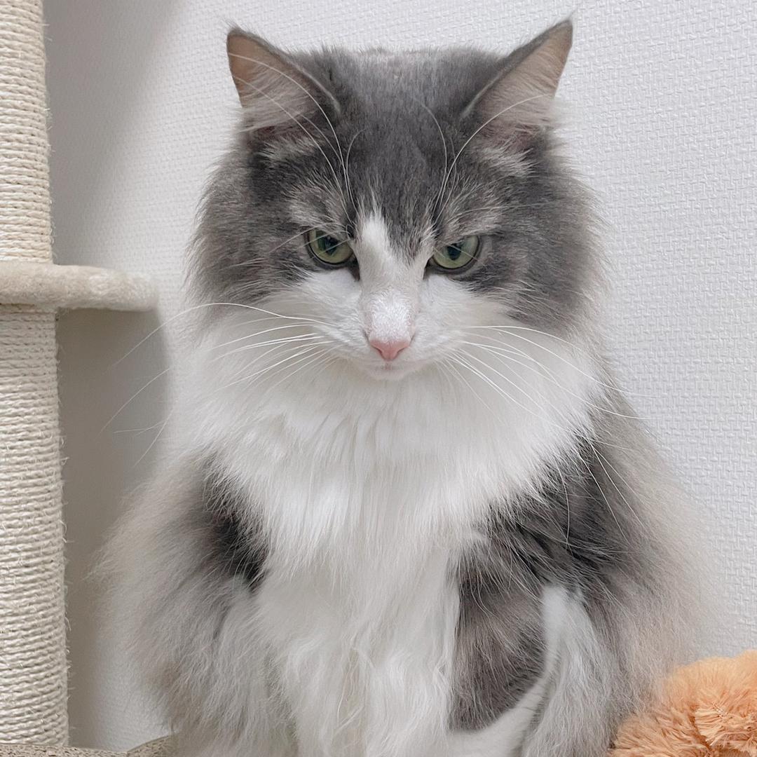 🌔🌘🌓🌕🐊🌒🦕