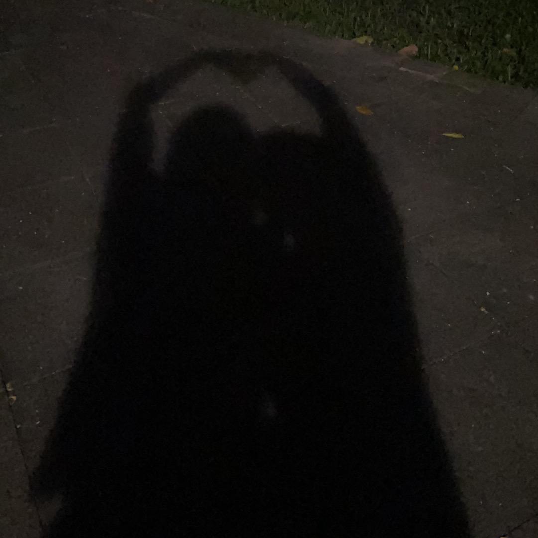 爱喝咖啡的栀子花