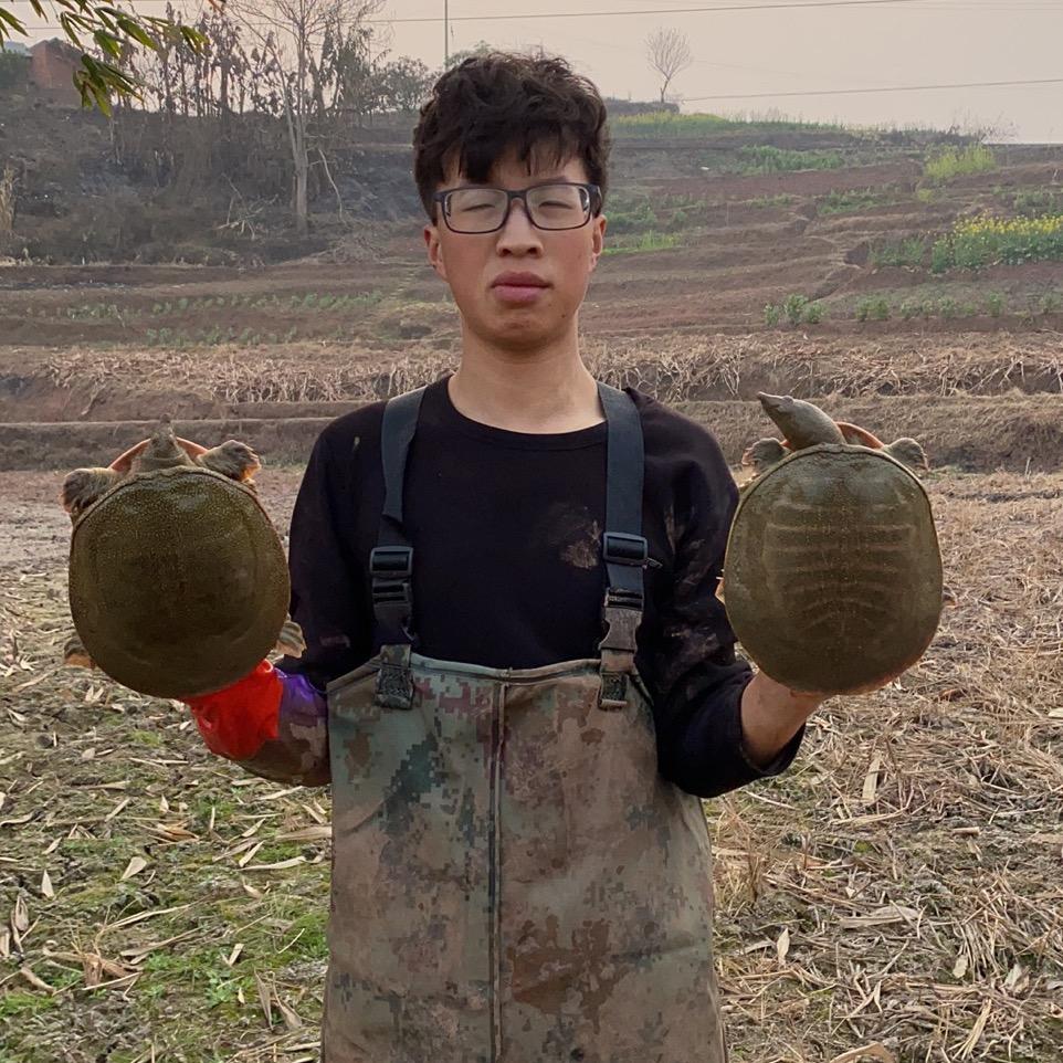 财阀8