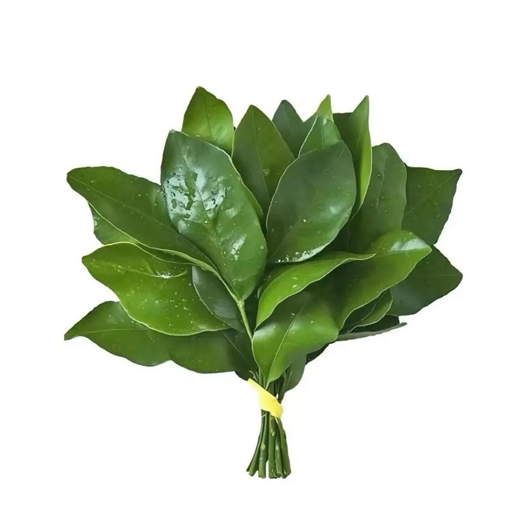 傻人有傻福