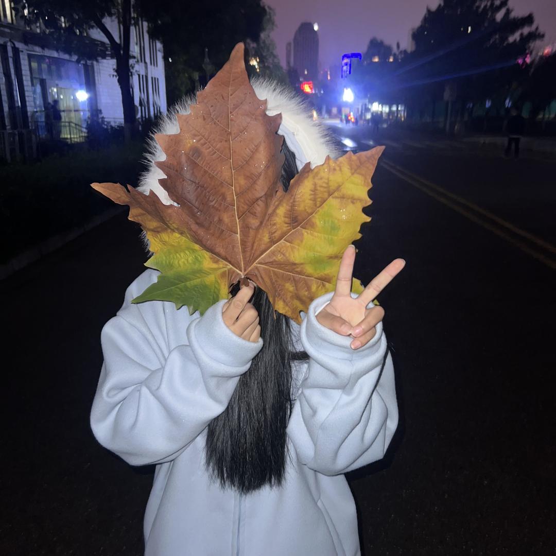 贝贝