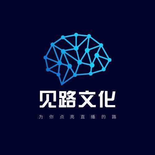 见路文化（弹幕游戏培训）