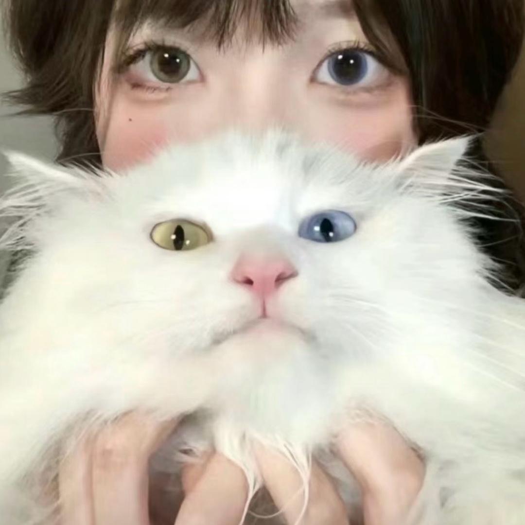 周周开心