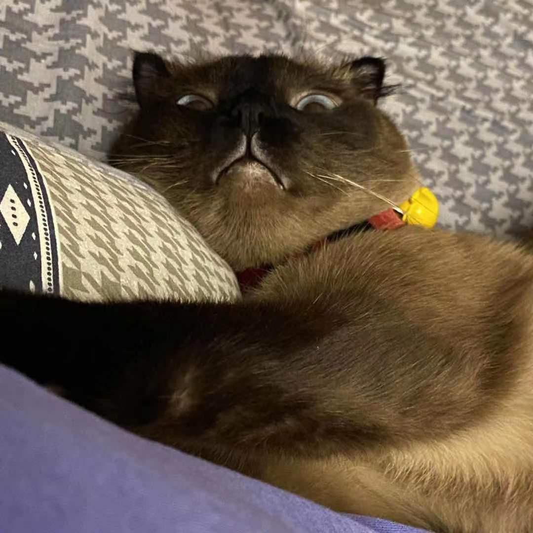 升卿