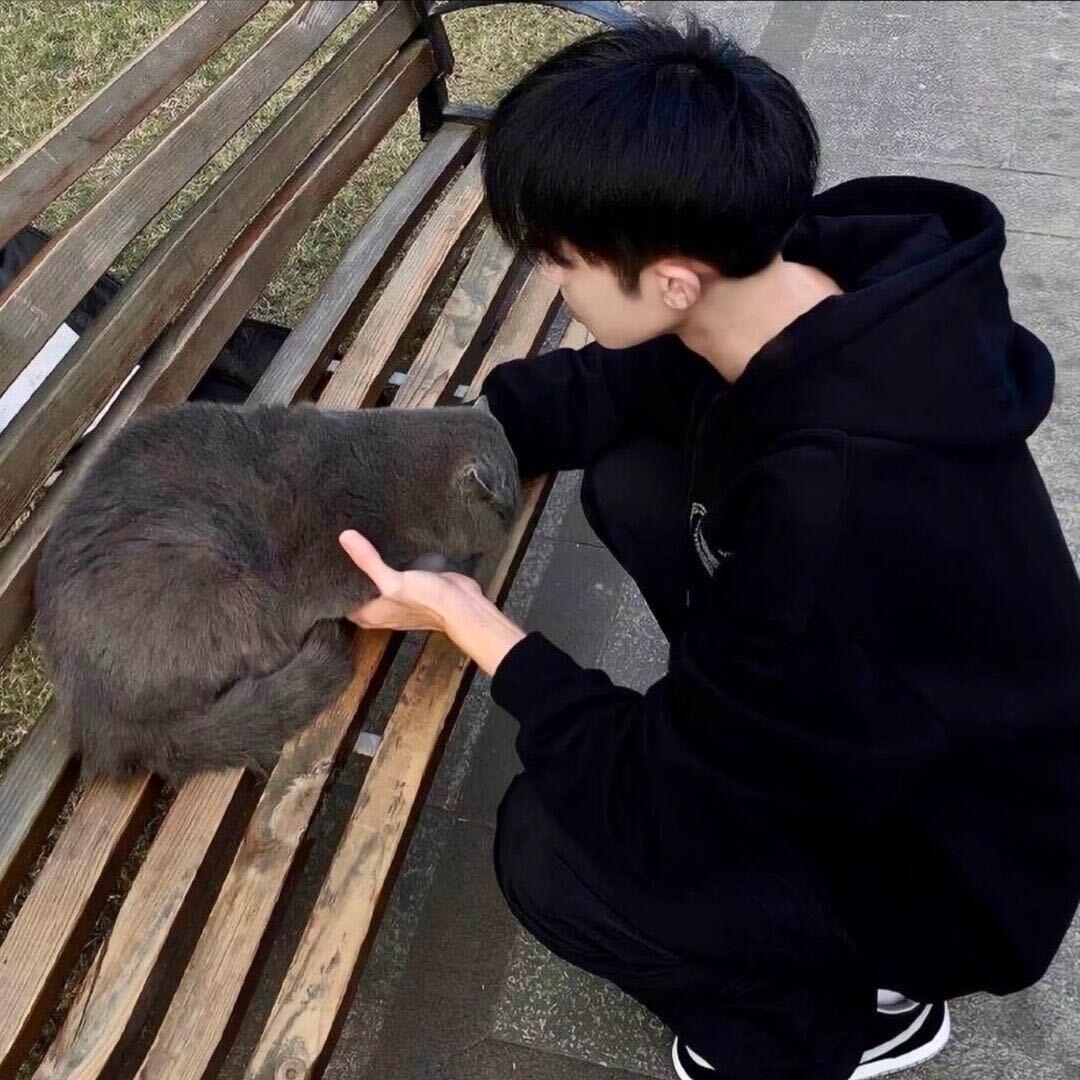 豫涵.