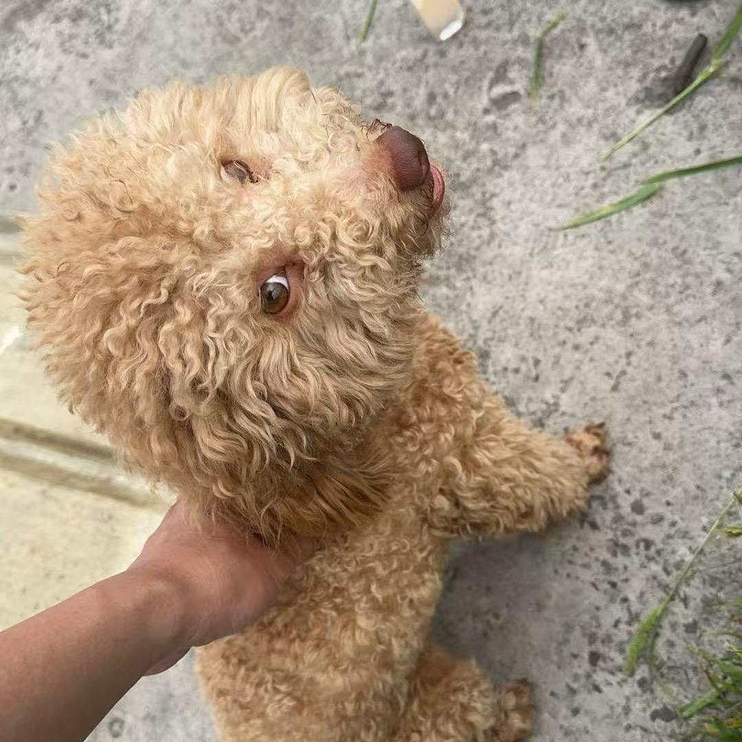 一陈一等于一