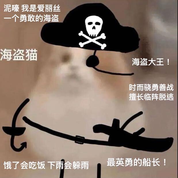 🐈海盗哈基咪