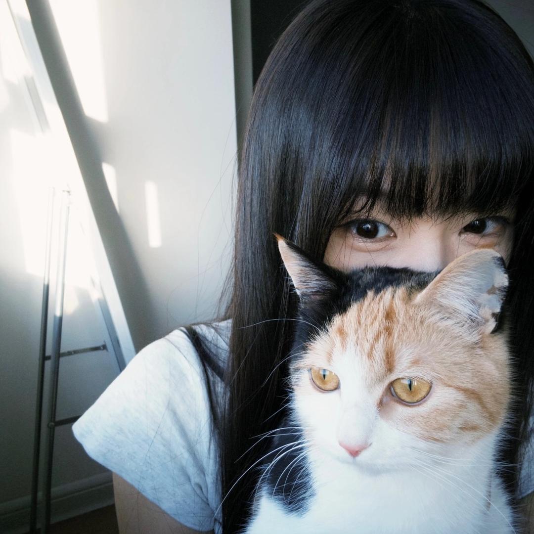 猫猫爱吃鱼-_-🐱