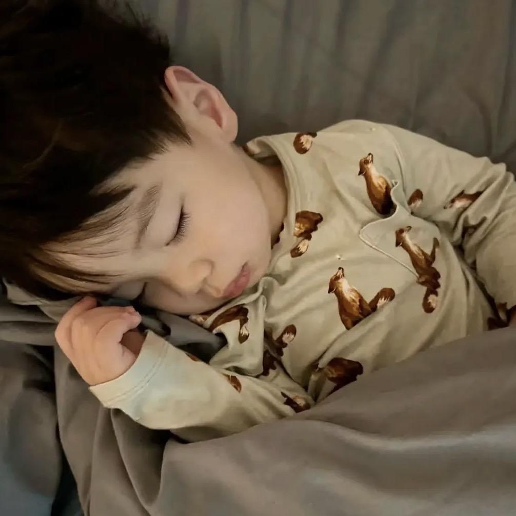 枣点睡觉💤