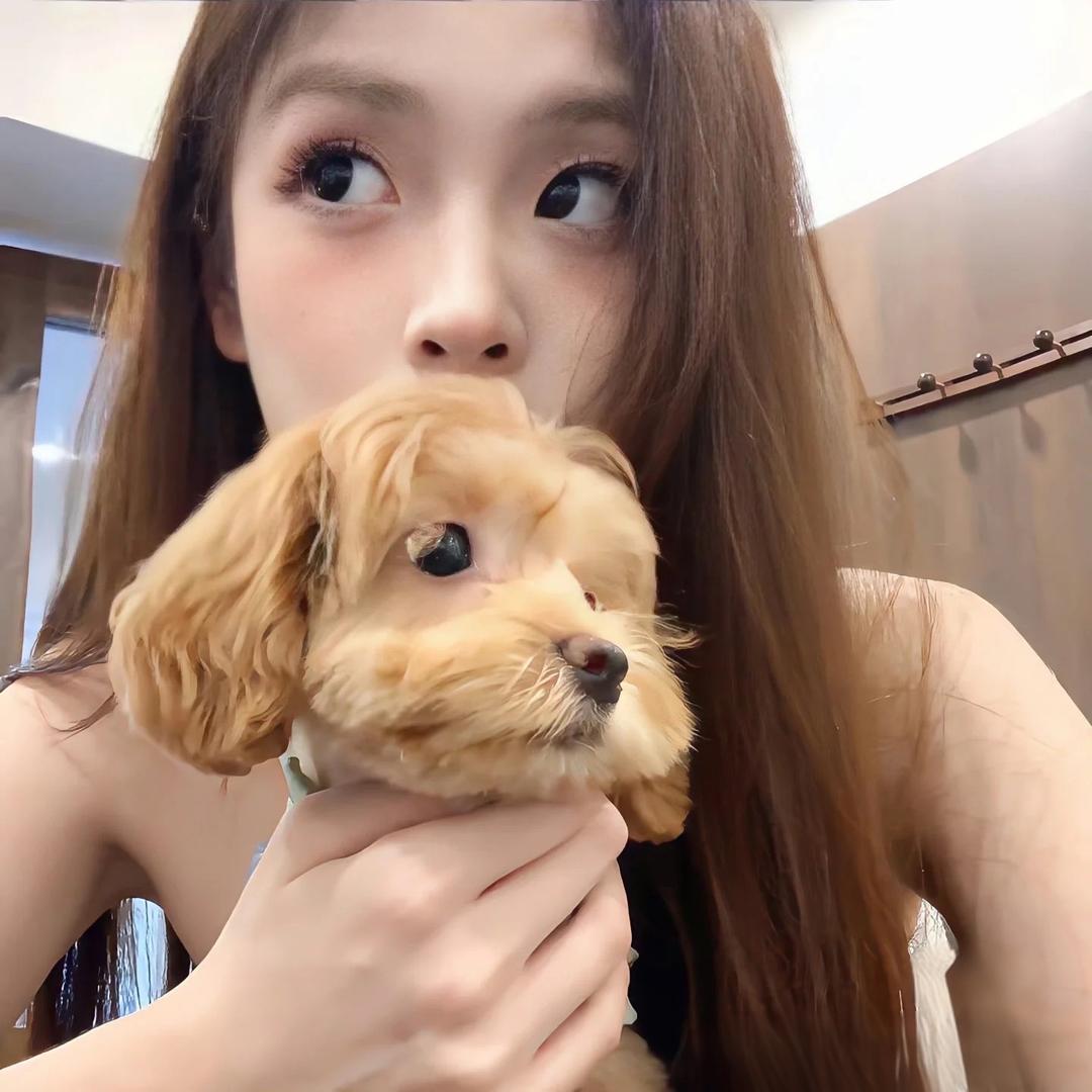 小熊维尼🍯