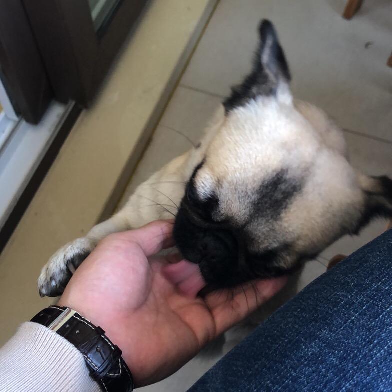 🧚‍♂️🧚‍♂️