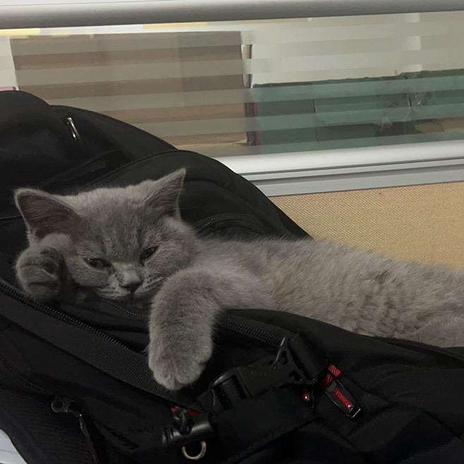 菌淼离心机-小秦