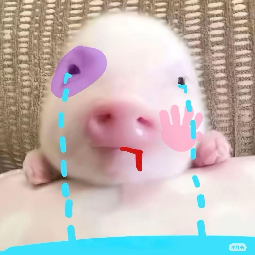 函堡包