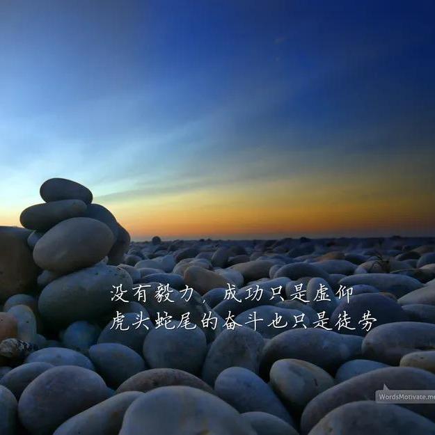 嘻嘻P