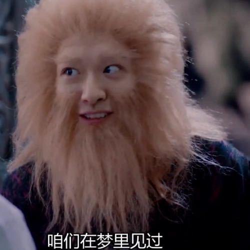 一群小小仙🦊