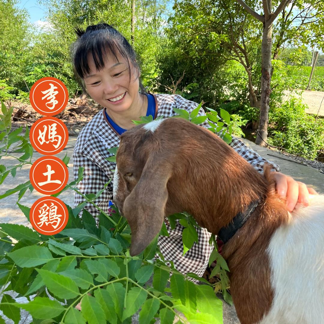 李妈土货