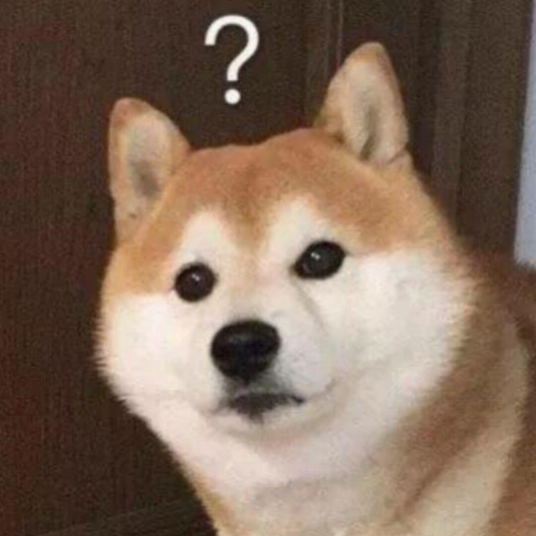 请叫我城北徐公