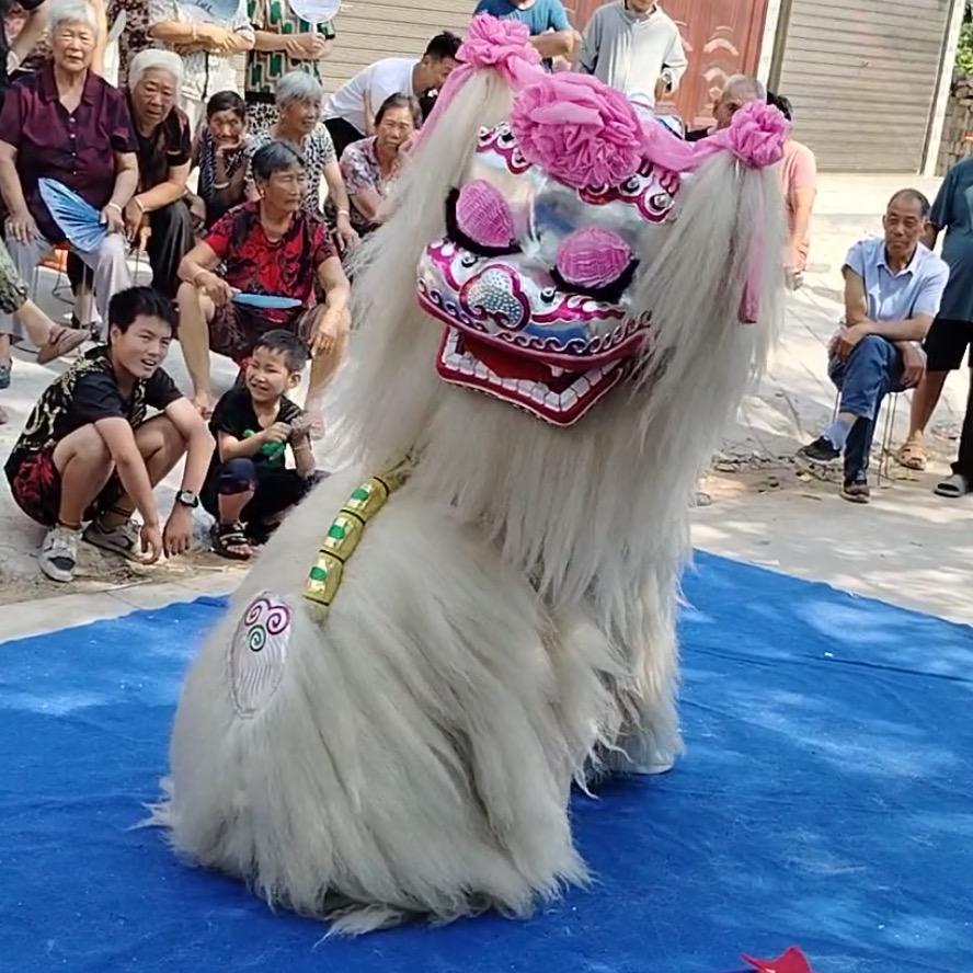 河南超越舞狮团～越越（小白狮）全国接单