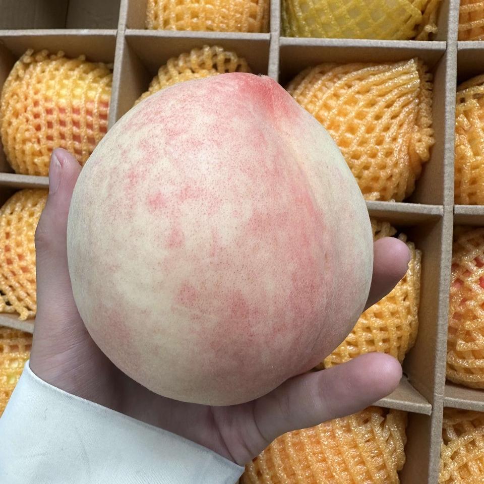 农嘉优选现摘秦安水蜜桃