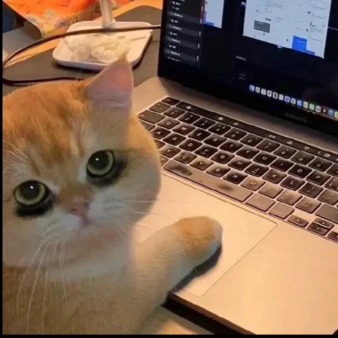失语者