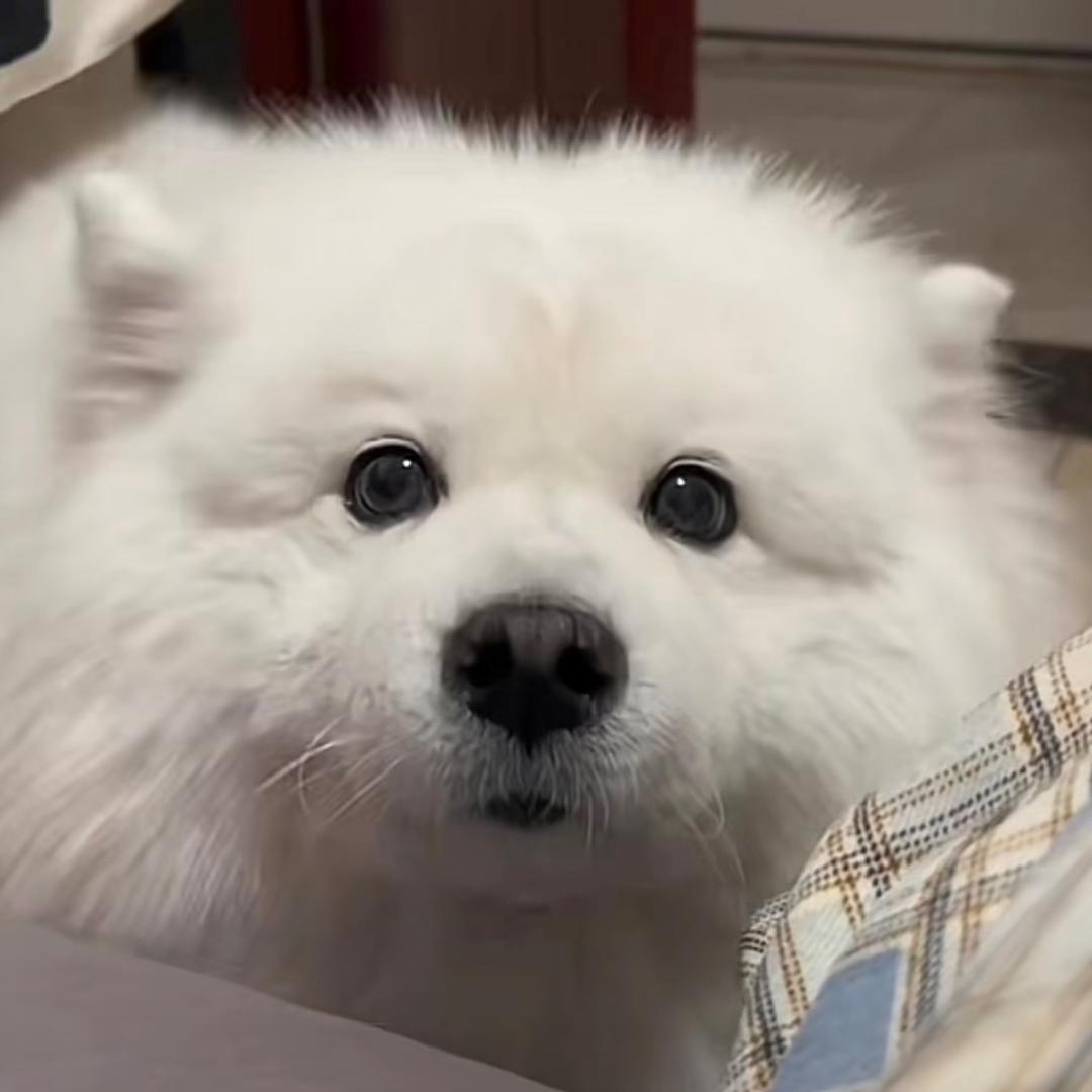 可爱的小昕