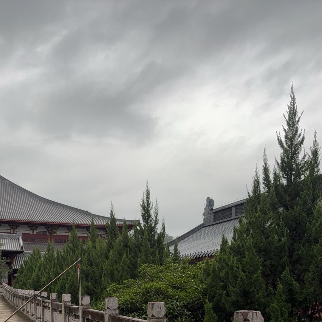 @贝舟叩钟🇨🇳