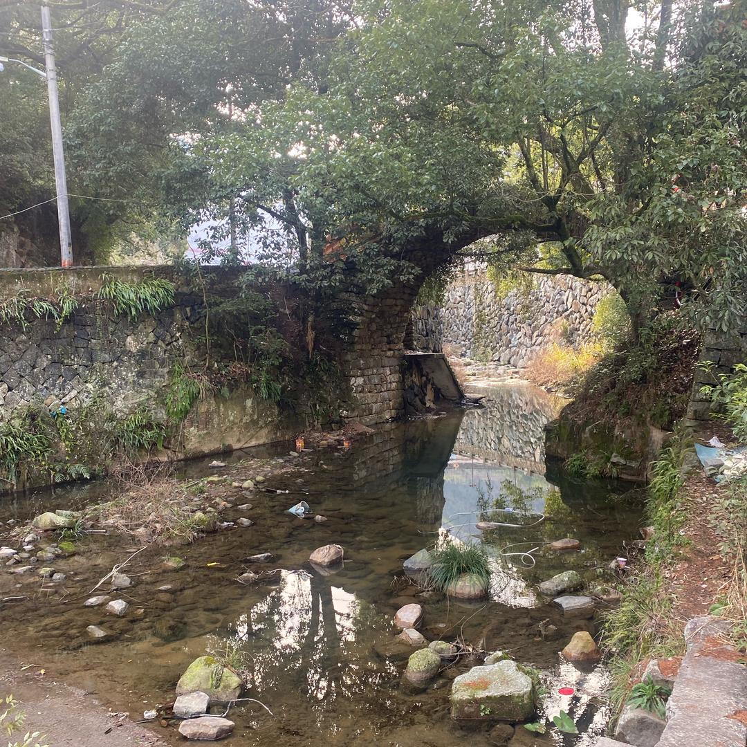 ❤️天若有情❤️