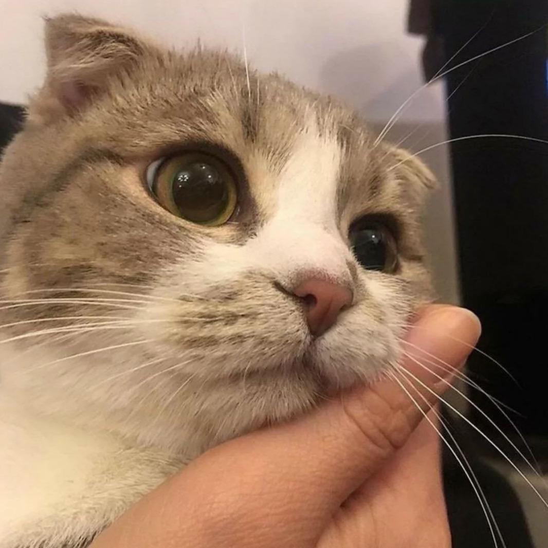 227.