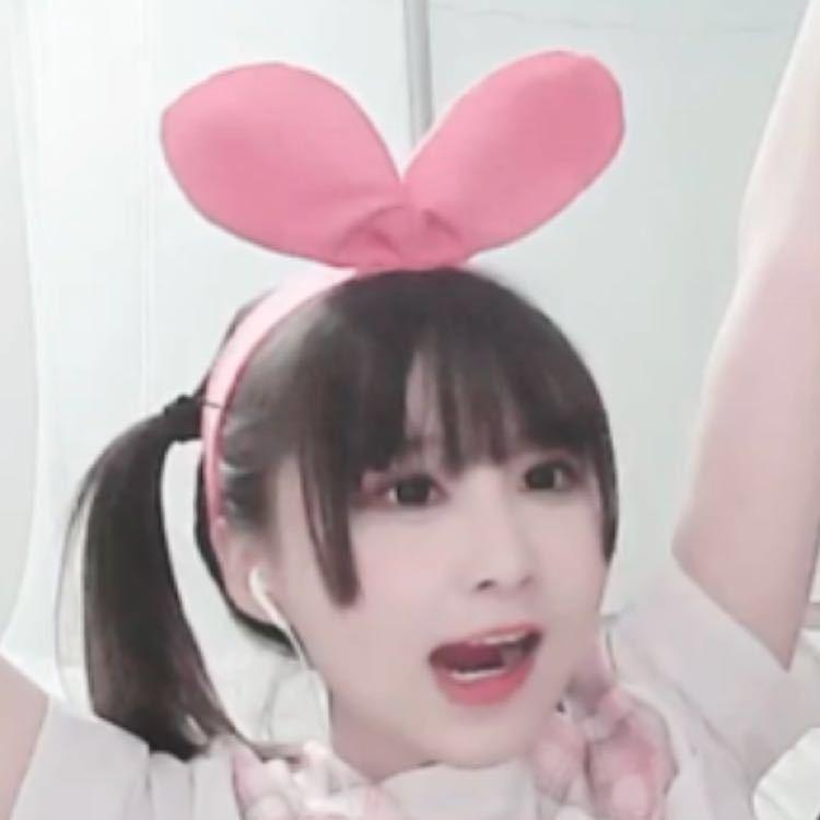 猫又又