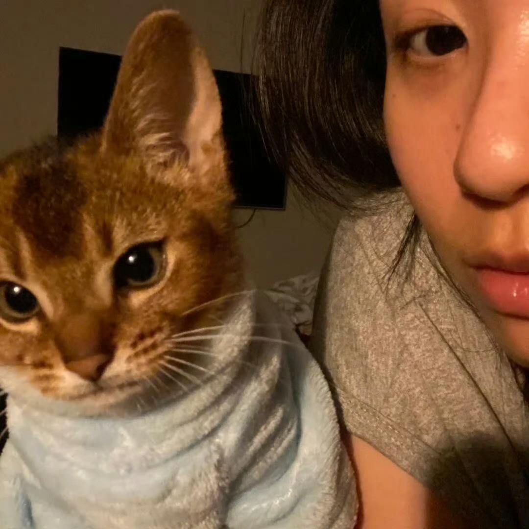 不要躺着玩手机👀