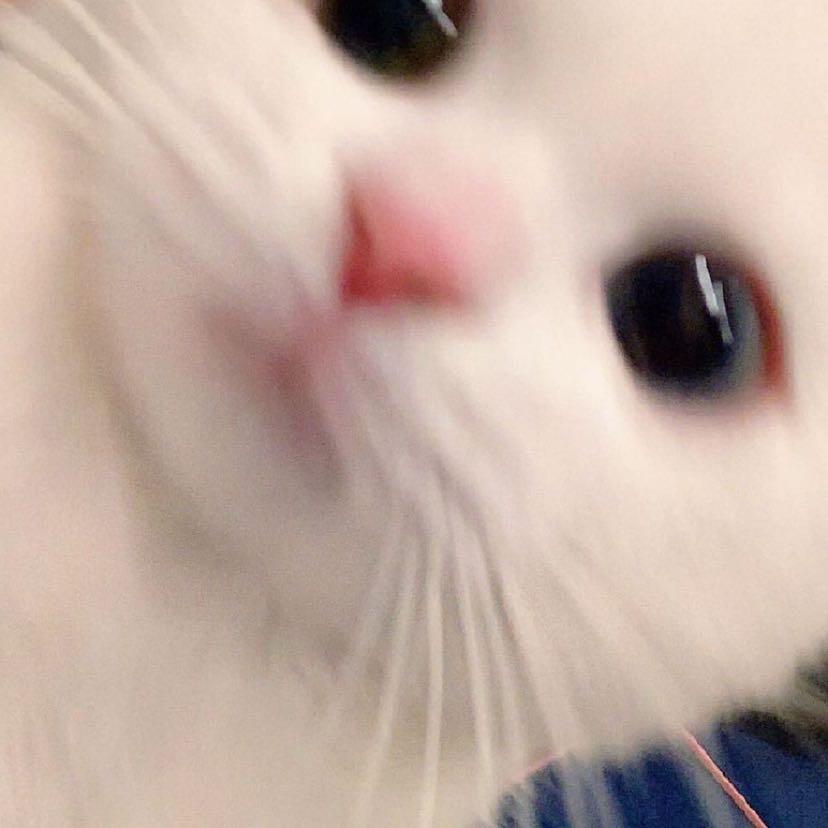 小甜