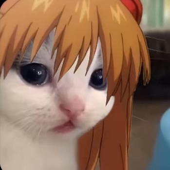 坏蛋