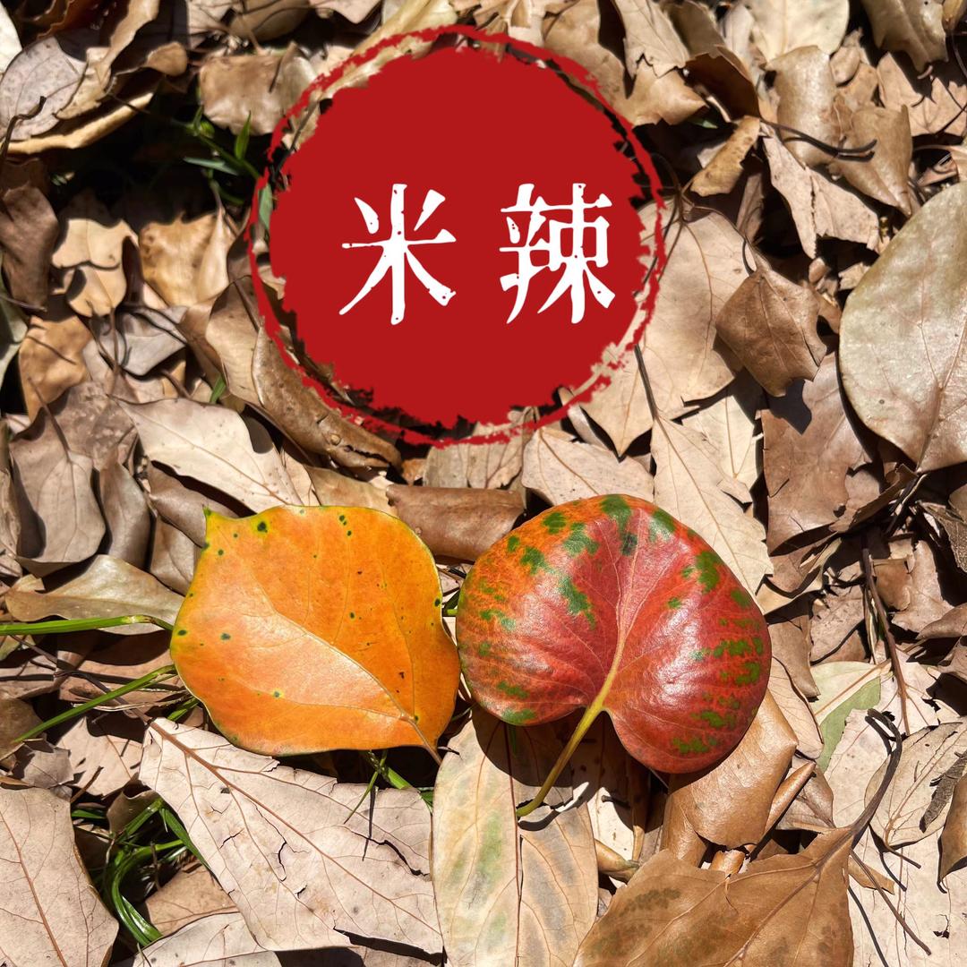 米辣生活馆