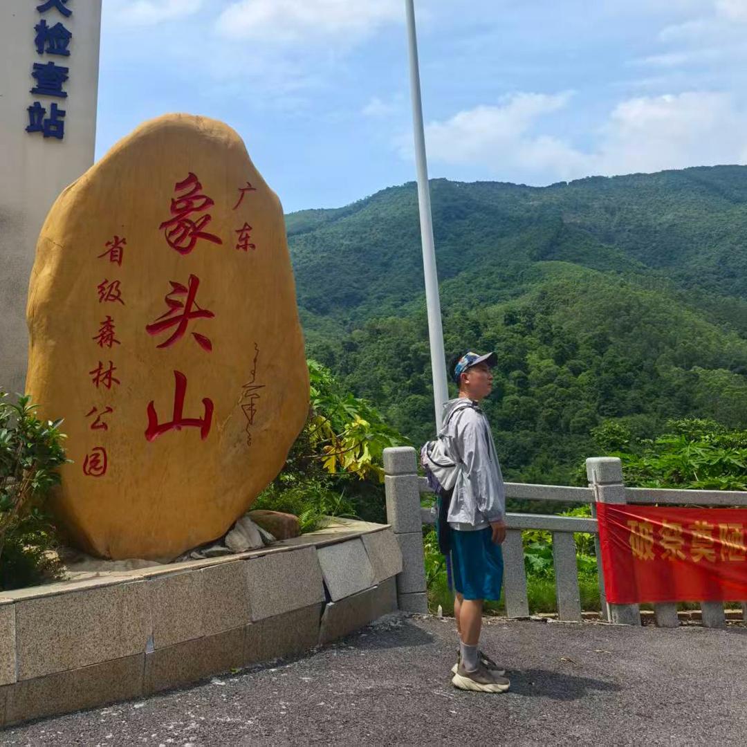 会飞的鱼