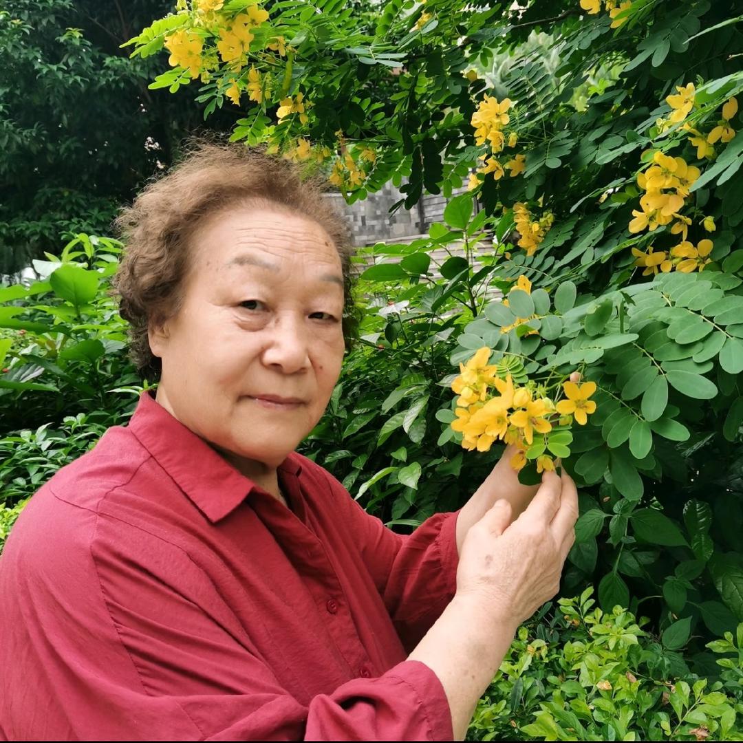 腊月红梅🌺
